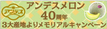 アンデスメロンキャンペーン
