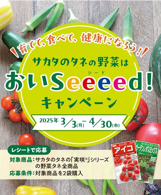 おいSeeeed！キャンペーン