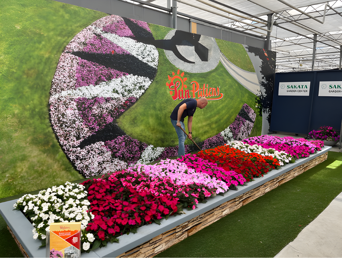 2023年6月 オランダ Flower Trials サカタのタネブースにて